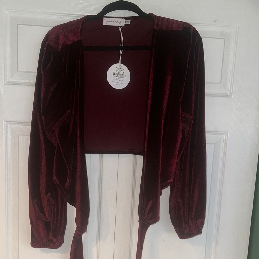 Petal & Pup Nikki Top Maroon Velvet